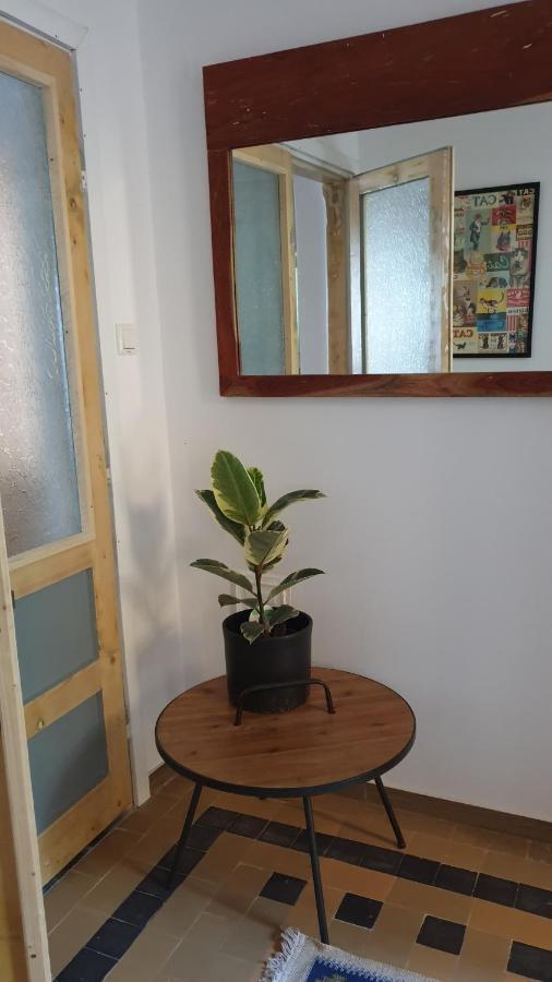 Casa Arion Apartman Herkulesfürdő Kültér fotó
