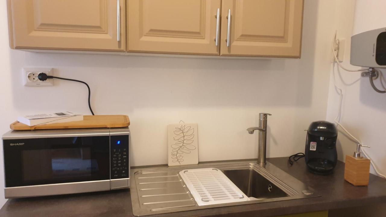 Casa Arion Apartman Herkulesfürdő Kültér fotó