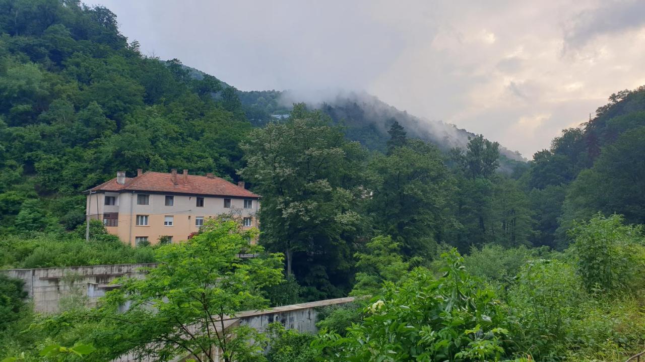 Casa Arion Apartman Herkulesfürdő Kültér fotó