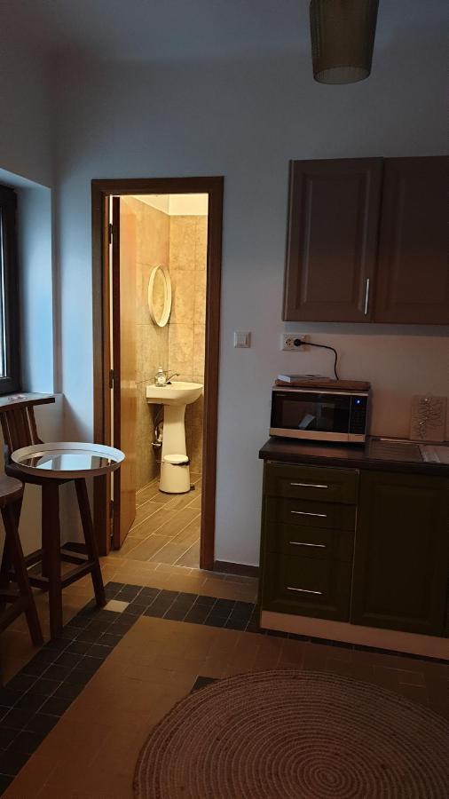 Casa Arion Apartman Herkulesfürdő Kültér fotó