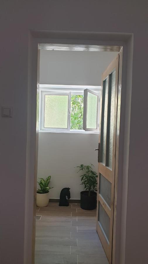 Casa Arion Apartman Herkulesfürdő Kültér fotó
