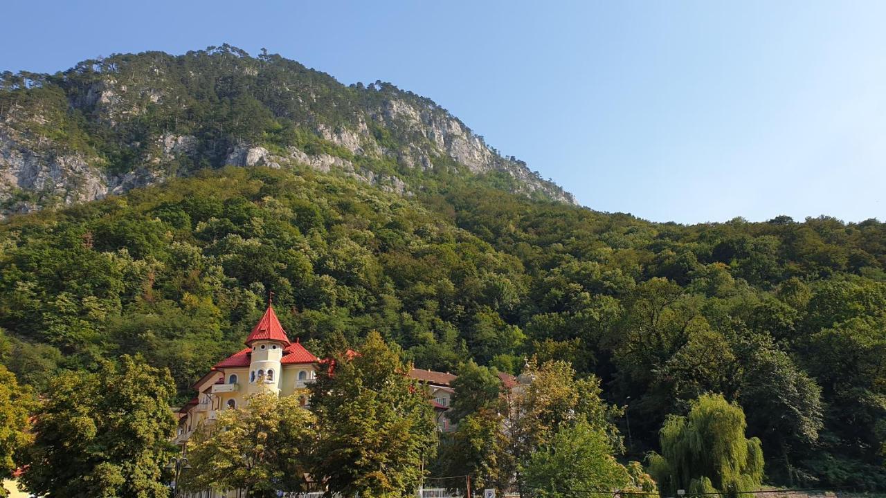 Casa Arion Apartman Herkulesfürdő Kültér fotó
