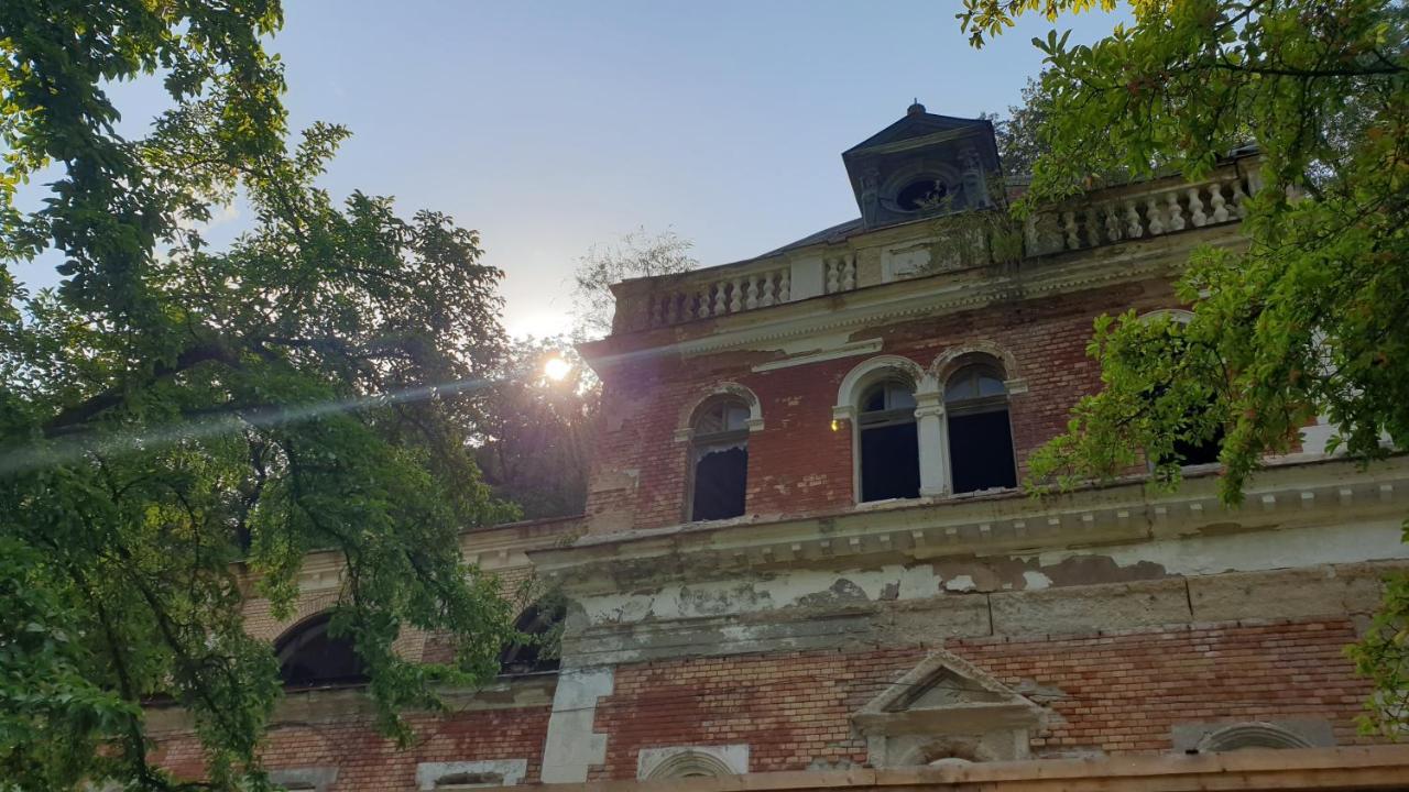 Casa Arion Apartman Herkulesfürdő Kültér fotó