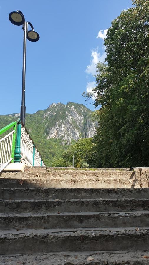 Casa Arion Apartman Herkulesfürdő Kültér fotó
