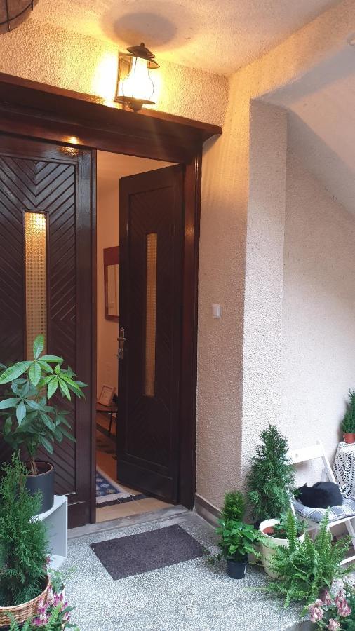 Casa Arion Apartman Herkulesfürdő Kültér fotó